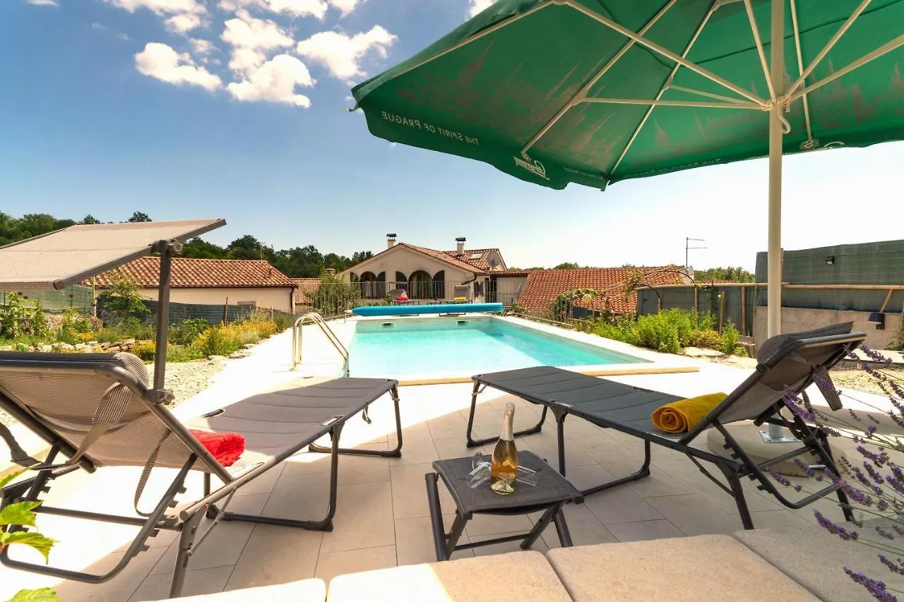 Villa Beautifully Renovated Old Stone House With Large Private Outdoor Pool Ruzici  Croazia